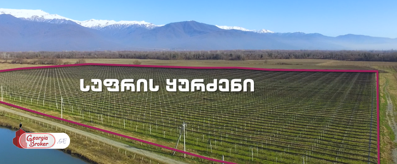 იყიდება აგრო კომპლექსი ლაგოდეხში