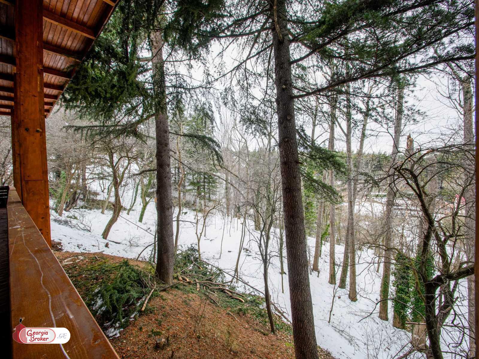 продается дом с новым ремонтом 10-комнат