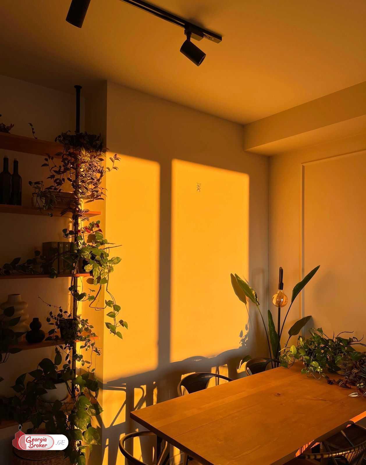 nearly repaired 5-room apartment for sale