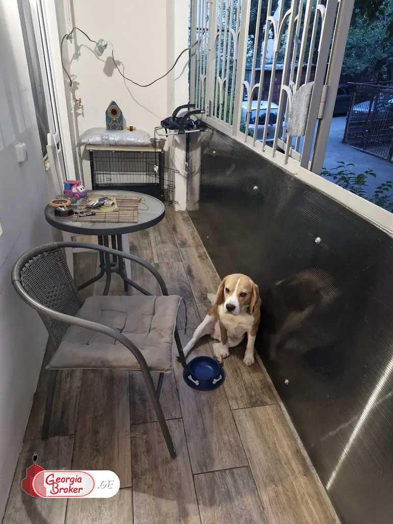 იყიდება ახალი გარემონტებული 3 ოთახიანი ბინა