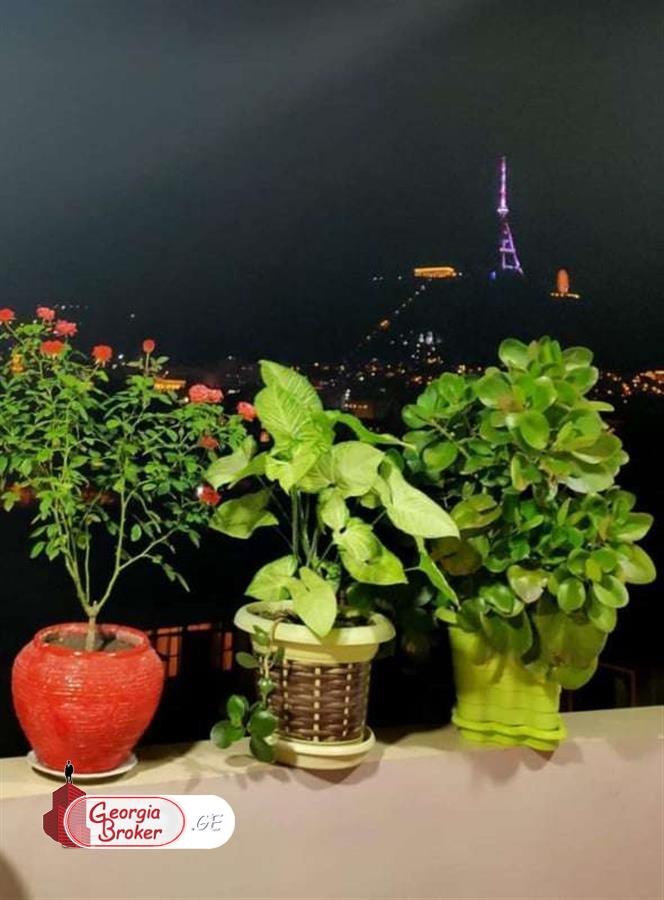 nearly repaired 5-room apartment for sale