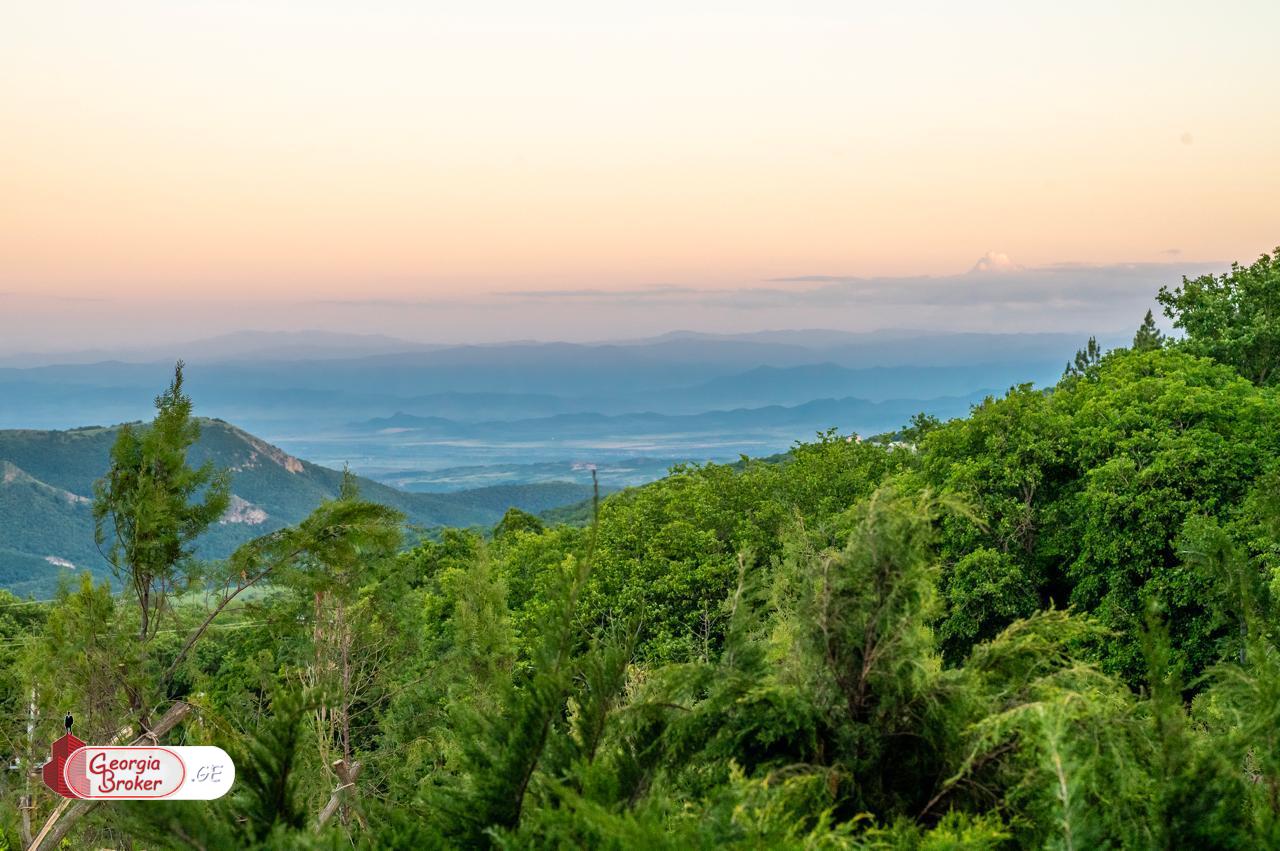 продается дом с новым ремонтом 10-комнат