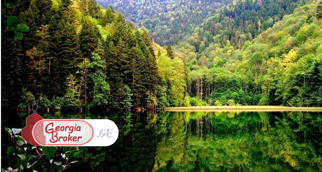 investment land for sale