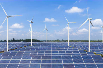 24 ჰექტარი მიწის ნაკვეთი კოდა ასურეთის მთავარ გზაზე