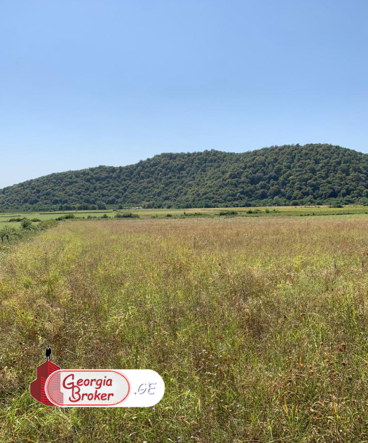 იყიდება საინვესტიციო მიწის ნაკვეთი