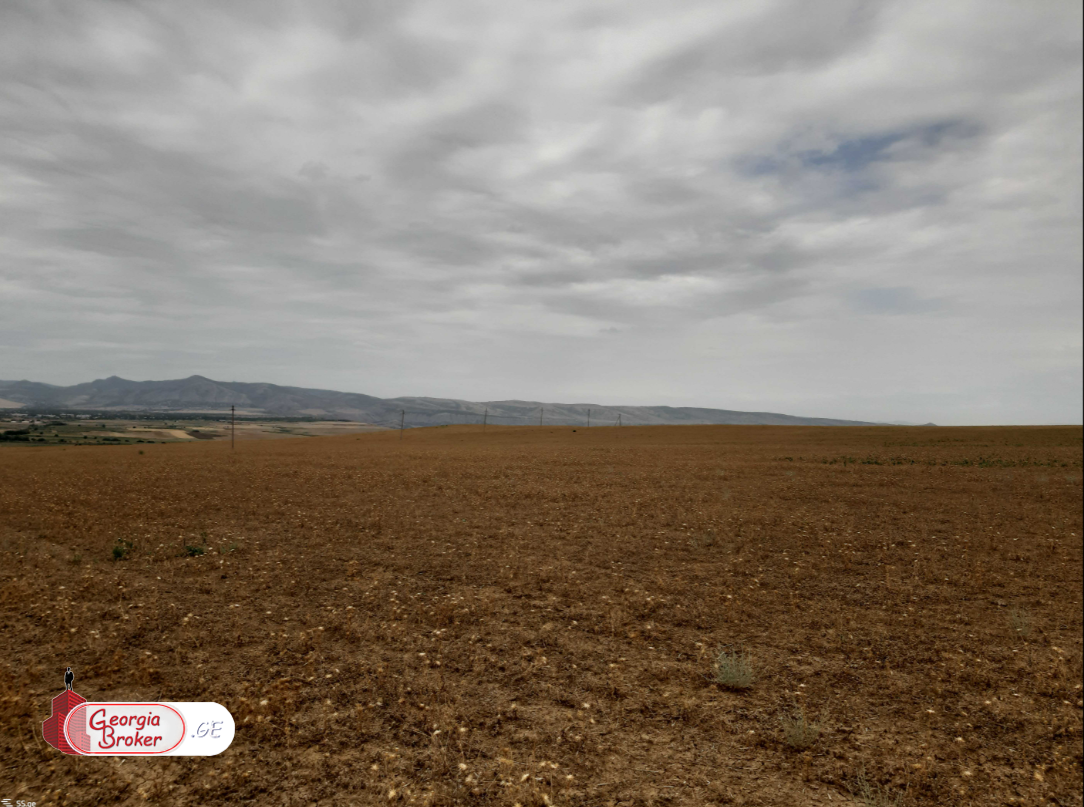 продается сельскохозяйственная Земля