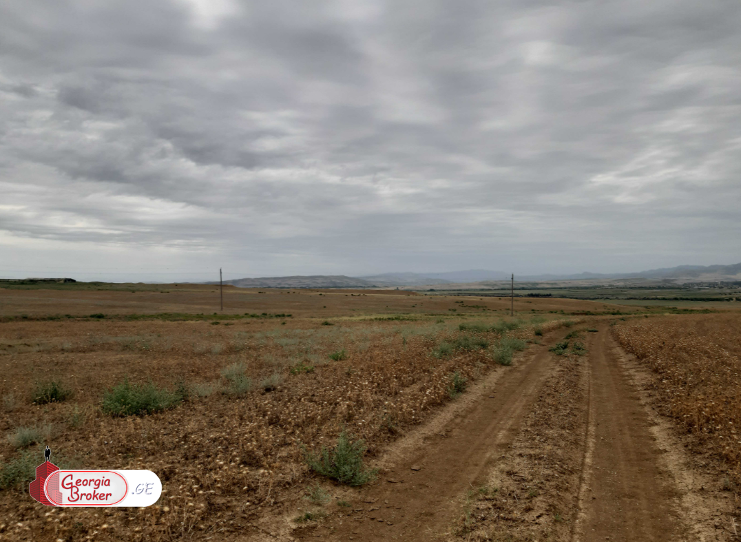 продается сельскохозяйственная Земля