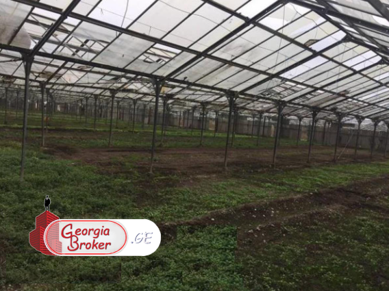 agricultural land for sale