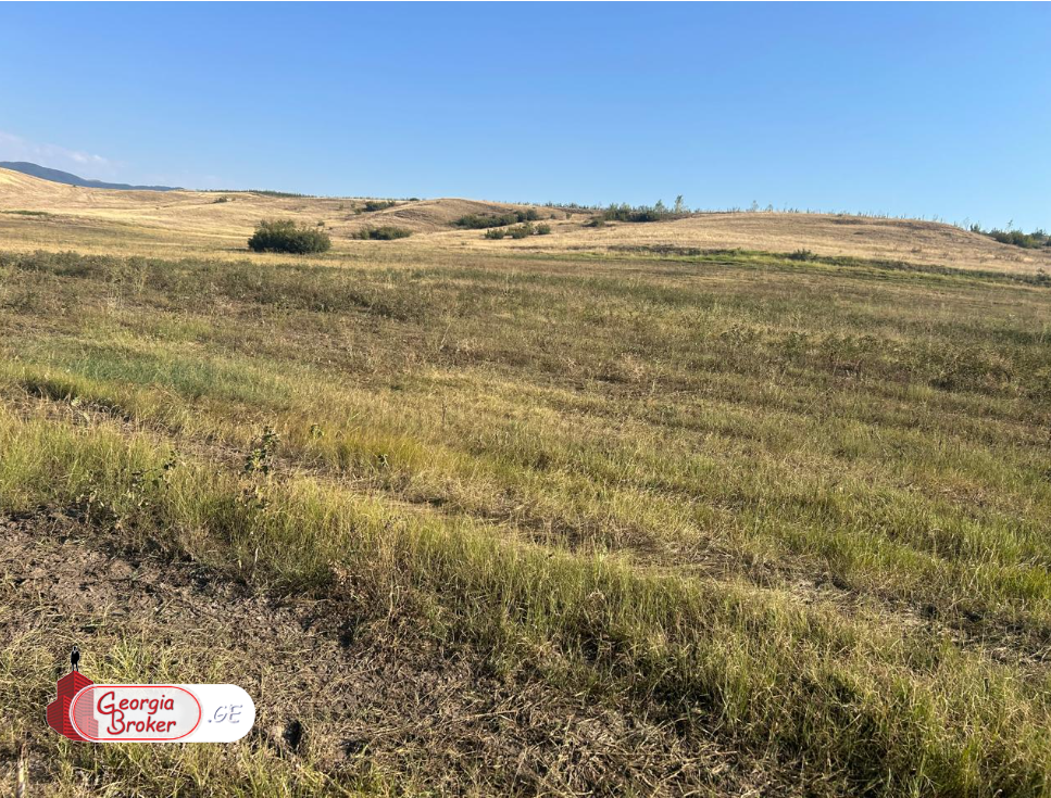 იყიდება სამეურნეო მიწის ნაკვეთი