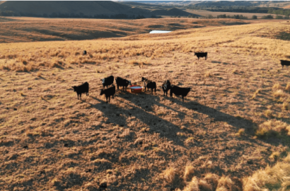 იყიდება  300 ჰა სამეურნეო მიწის ნაკვეთი საგარეჯოში