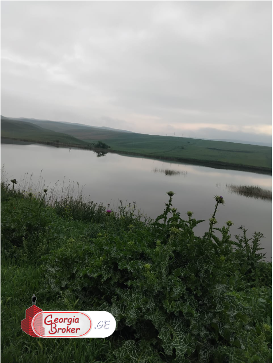 იყიდება500 ჰა სამეურნეო მიწის ნაკვეთი