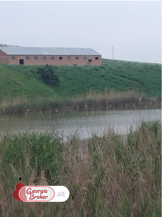 იყიდება500 ჰა სამეურნეო მიწის ნაკვეთი