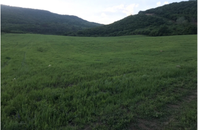 იყიდება სამეურნეო მიწის ნაკვეთი