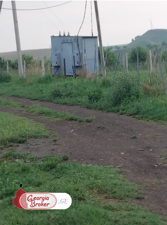 იყიდება500 ჰა სამეურნეო მიწის ნაკვეთი