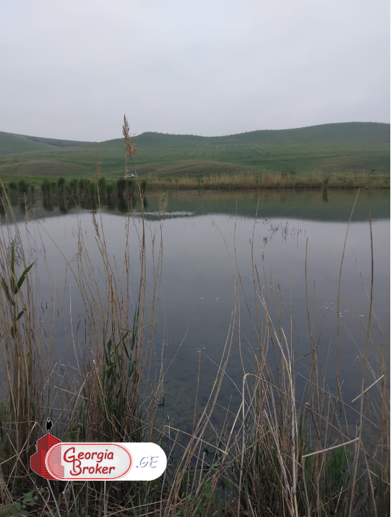 იყიდება500 ჰა სამეურნეო მიწის ნაკვეთი