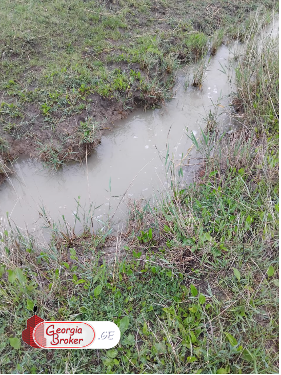 იყიდება500 ჰა სამეურნეო მიწის ნაკვეთი