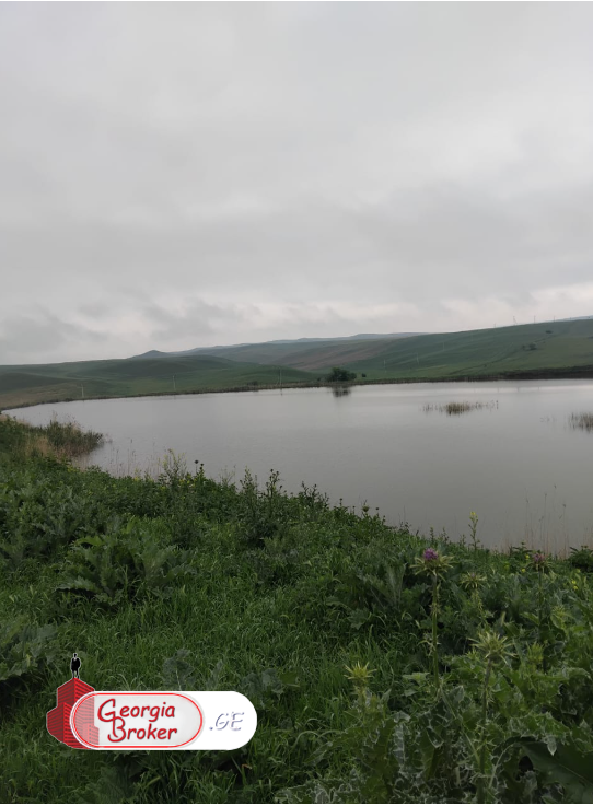 იყიდება500 ჰა სამეურნეო მიწის ნაკვეთი