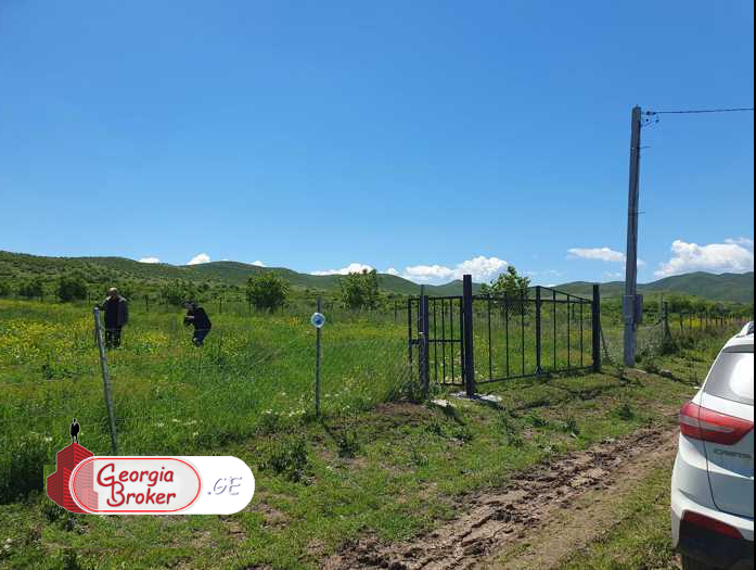 იყიდება 10 ჰა  სამეურნეო მიწის ნაკვეთი მარნეულში