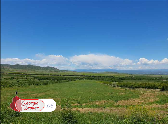 იყიდება 10 ჰა  სამეურნეო მიწის ნაკვეთი მარნეულში