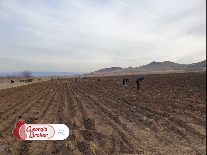 იყიდება 10 ჰა  სამეურნეო მიწის ნაკვეთი მარნეულში