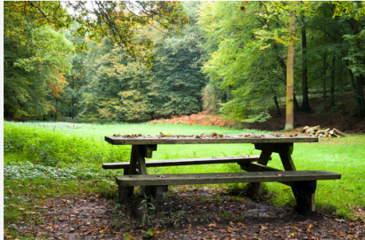 იყიდება 35 ჰა მიწის ნაკვეთი ლიპის ტბასთან, თეთრიწყაროს რაიონში