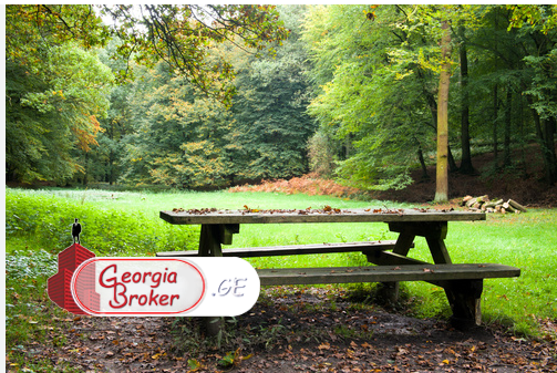 იყიდება 35 ჰა მიწის ნაკვეთი ლიპის ტბასთან, თეთრიწყაროს რაიონში