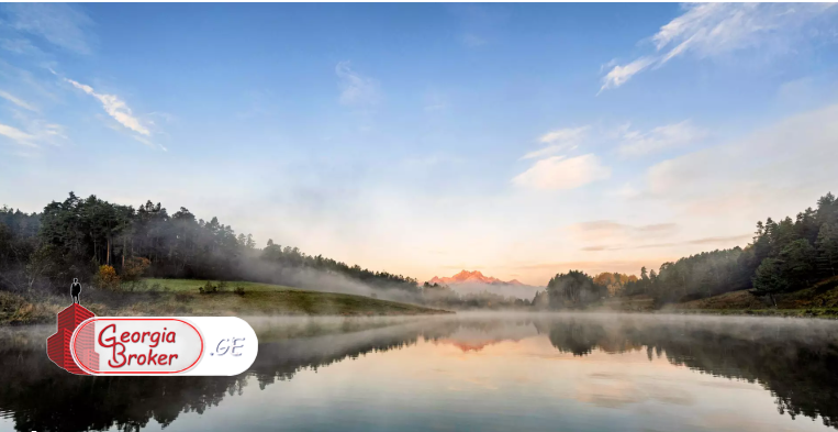 იყიდება 35 ჰა მიწის ნაკვეთი ლიპის ტბასთან, თეთრიწყაროს რაიონში