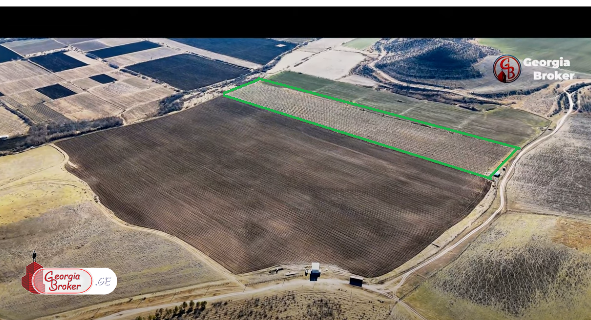 agricultural land for sale