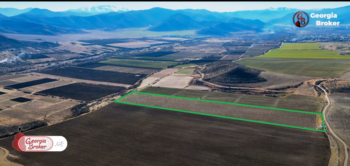 agricultural land for sale