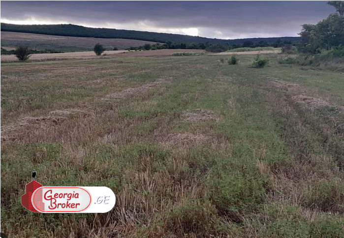 agricultural land for sale