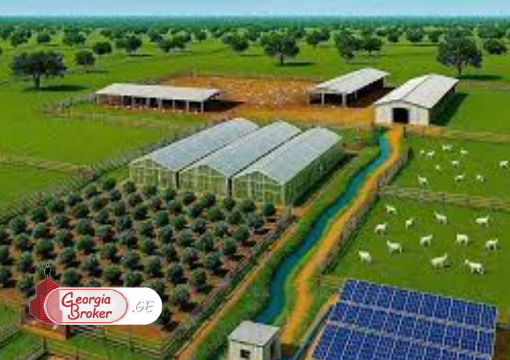 agricultural land for sale