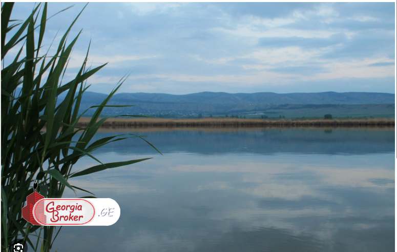 იყიდება სამეურნეო მიწის ნაკვეთი 18.5 ჰა კუმისის ტბაზე(პირველ ზოლში)