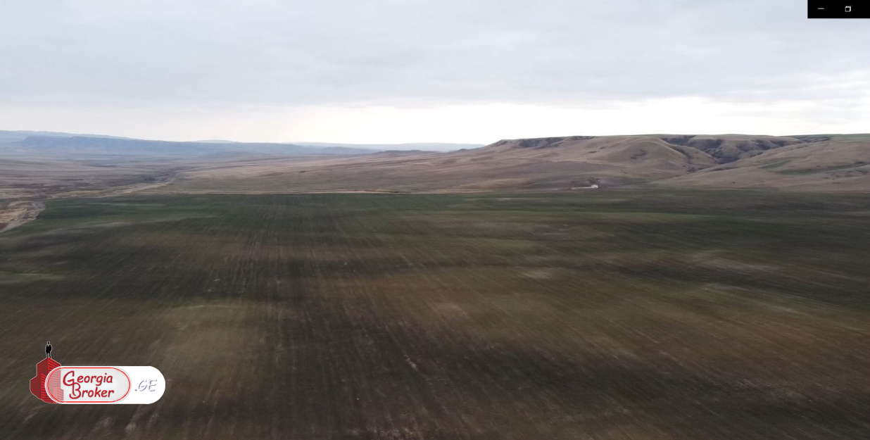 იყიდება 500 ჰა  სამეურნეო მიწის ნაკვეთი სიღნაღის რაიონში