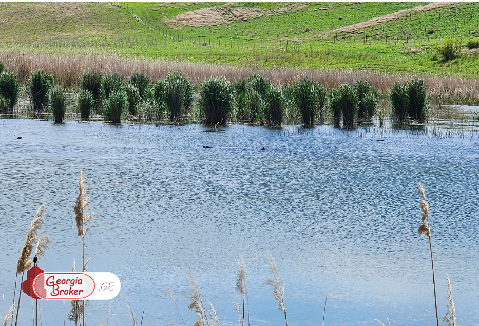იყიდება 500 ჰა  სამეურნეო მიწის ნაკვეთი სიღნაღის რაიონში