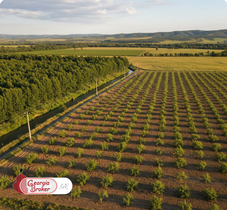 agricultural land for sale