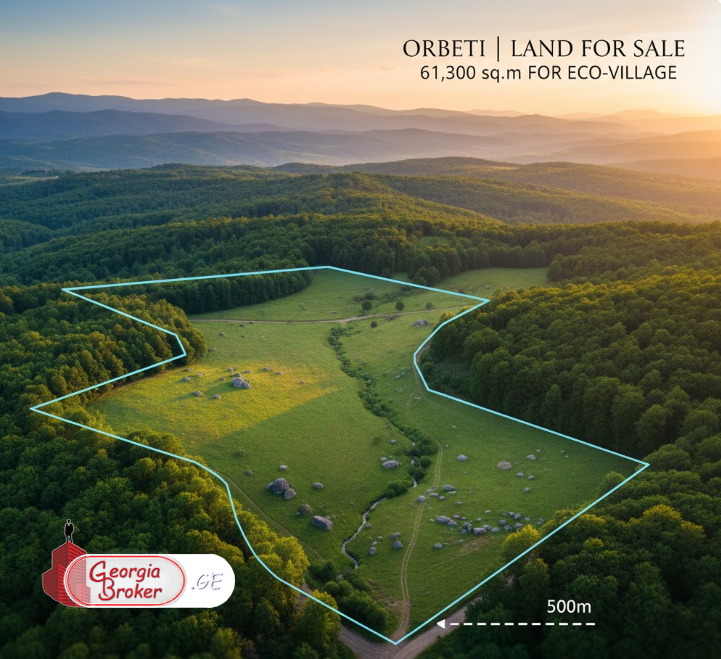 იყიდება სამეურნეო მიწის ნაკვეთი ორბეთში