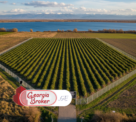 продается сельскохозяйственная Земля