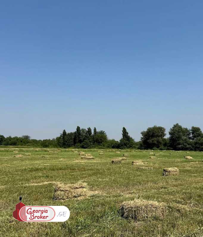 იყიდება სამეურნეო მიწის ნაკვეთი 20 ჰა გარდაბანში