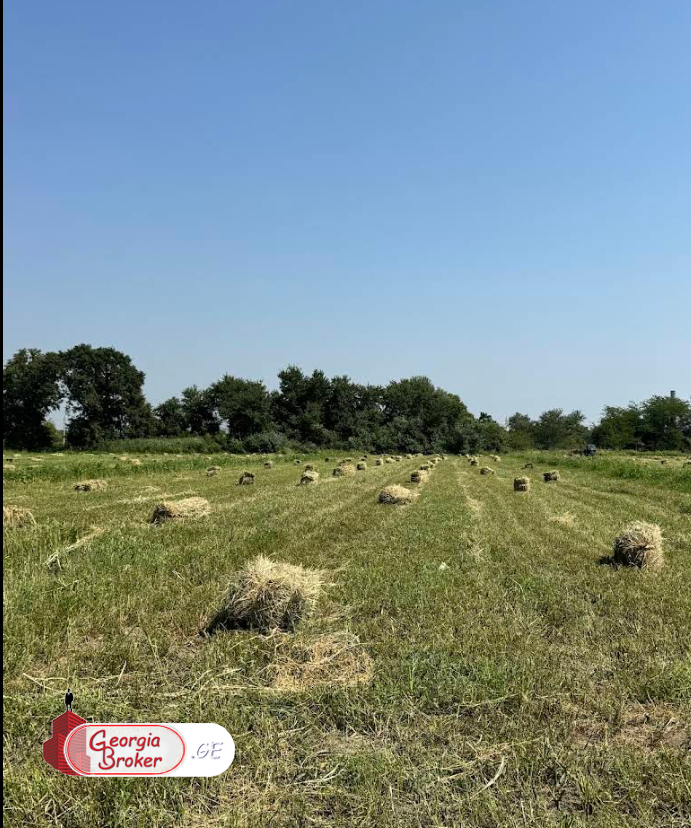 იყიდება სამეურნეო მიწის ნაკვეთი 20 ჰა გარდაბანში