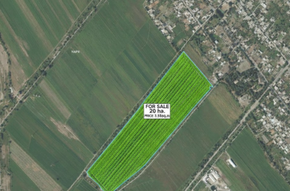 იყიდება სამეურნეო მიწის ნაკვეთი 20 ჰა გარდაბანში