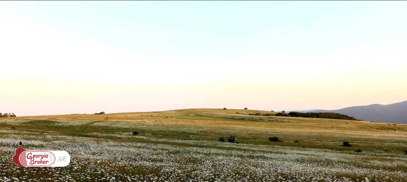 продается сельскохозяйственная Земля