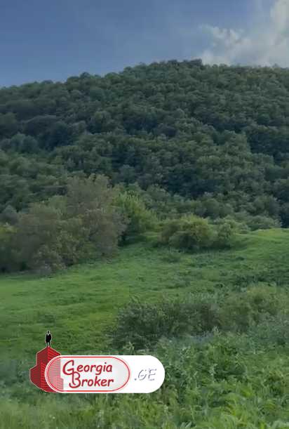 продается сельскохозяйственная Земля