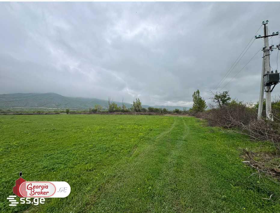 იყიდება სამეურნეო მიწის ნაკვეთი