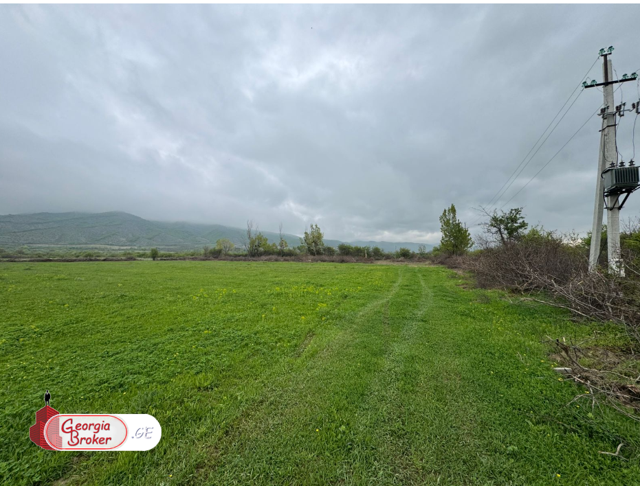 იყიდება სამეურნეო მიწის ნაკვეთი