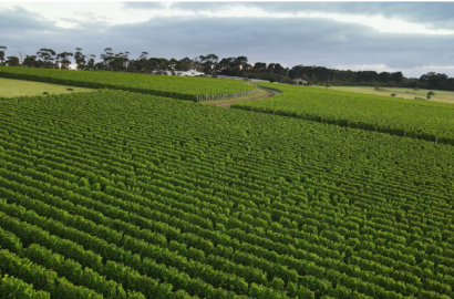 продается сельскохозяйственная Земля