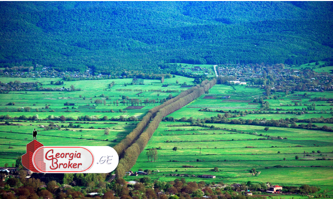 agricultural land for sale