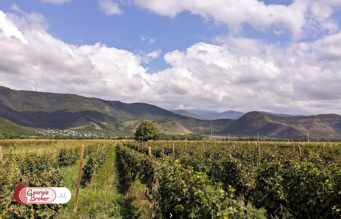 agricultural land for sale