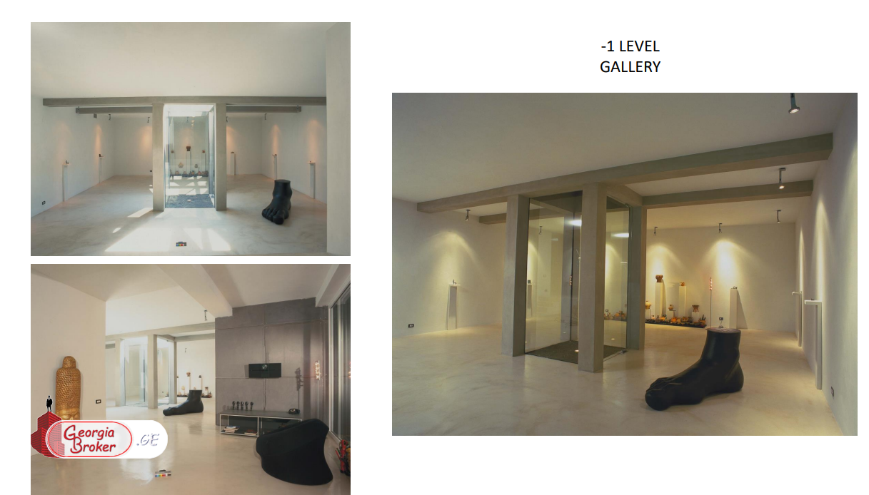 - მრავალფუნქციური თანამედროვე შენობა,