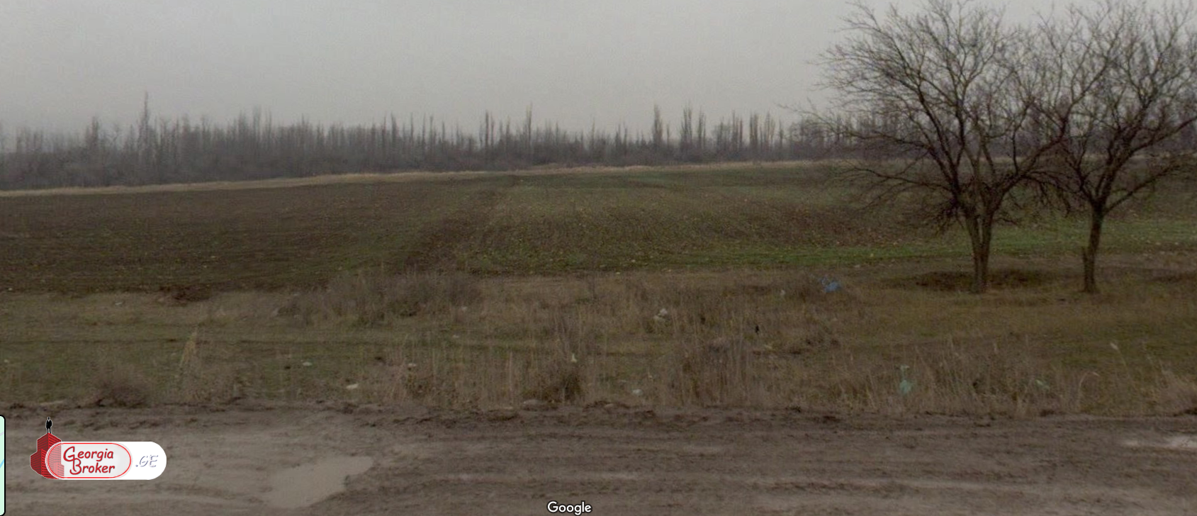 agricultural land for sale