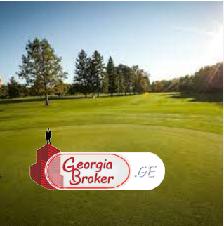 investment land for sale